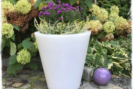 jesienna kompozycja w donicy zogrodemnaty1