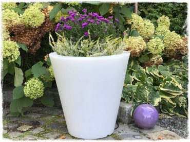 jesienna kompozycja w donicy zogrodemnaty1