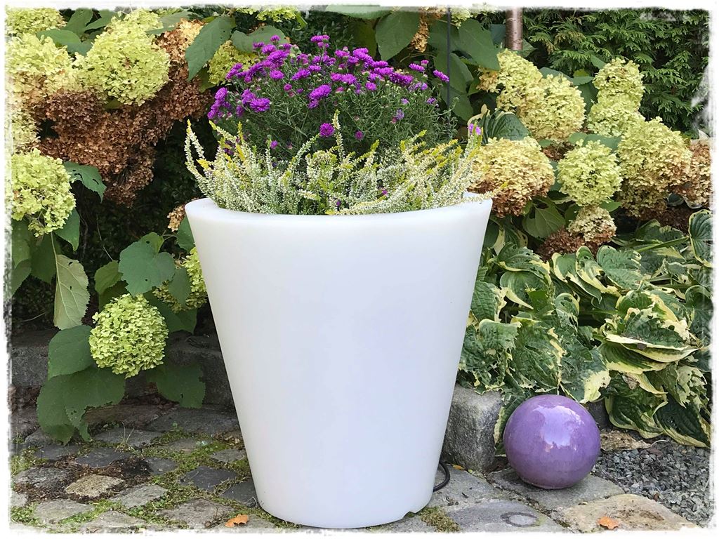 jesienna kompozycja w donicy zogrodemnaty1