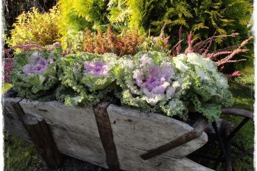 100 busem przez polskie ogrody ogrod 22