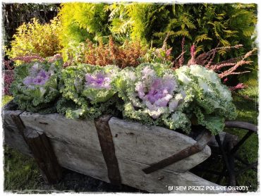 100 busem przez polskie ogrody ogrod 22