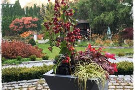 39ea2219c6a668ba3c72cd3862dc53c5