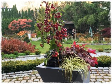 39ea2219c6a668ba3c72cd3862dc53c5