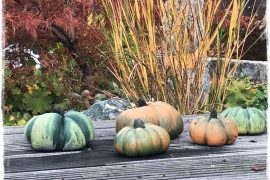 betonowe dynie zogrodemnaty1