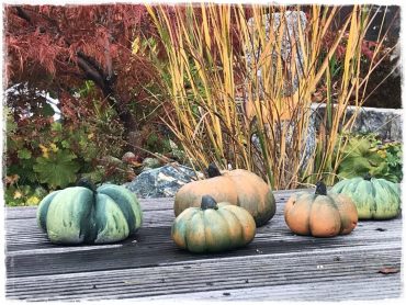 betonowe dynie zogrodemnaty1