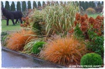 1 busem przez polskie ogrody ogrod 23