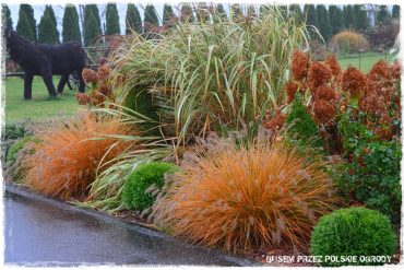 1 busem przez polskie ogrody ogrod 23