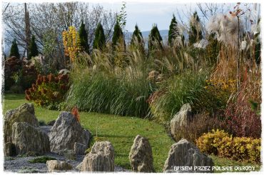 100 busem przez polskie ogrody ogrod 23
