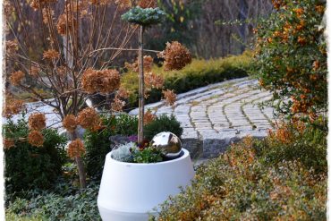 miniaturowe iglaki w donicy zogrodemnaty1