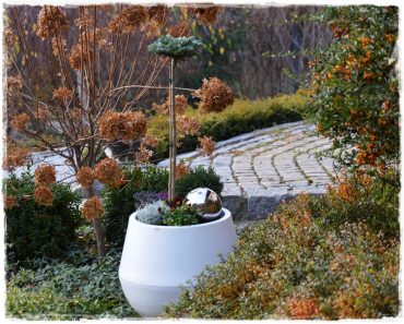 miniaturowe iglaki w donicy zogrodemnaty1