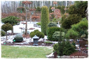 100 busem przez polskie ogrody ogrod 1 2019