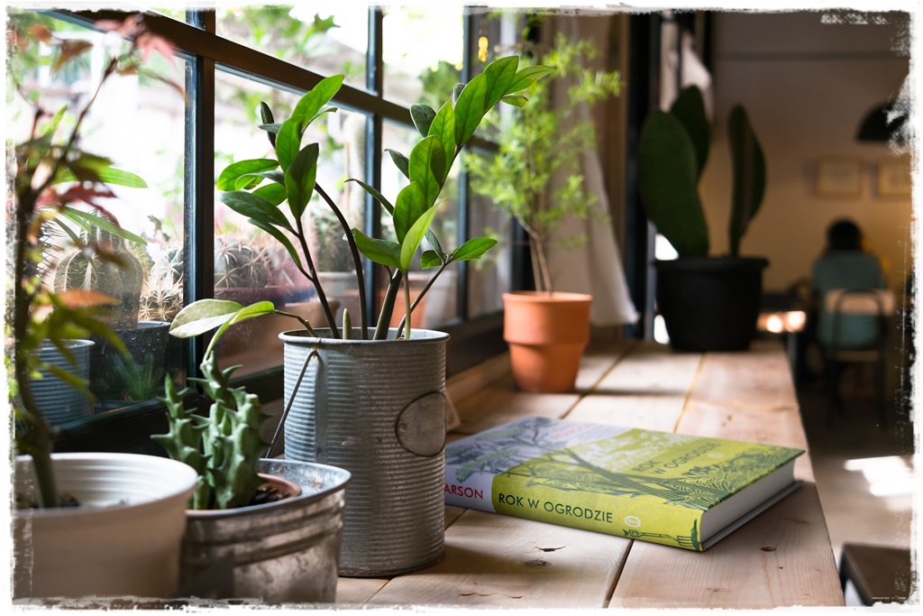 Rok w ogrodzie Dan Pearson zogrodemnaty1