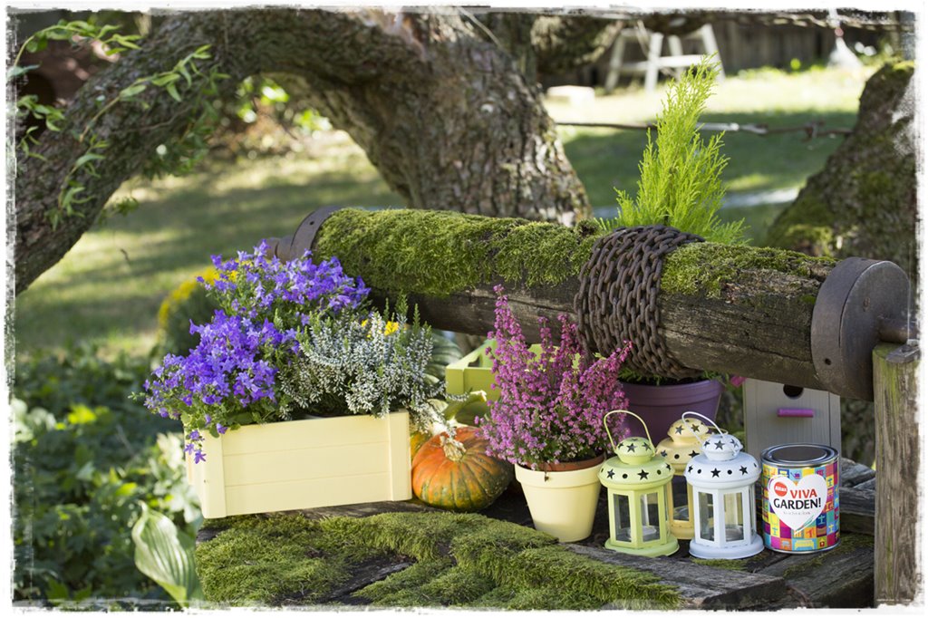 altax viva garden zogrodemnaty1