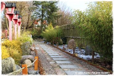 ce8491e577dff1990c03a5164f7724b2