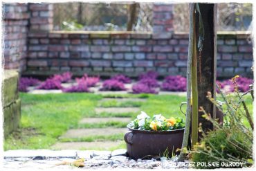 1 busem przez polskie ogrody ogrod 4 2019