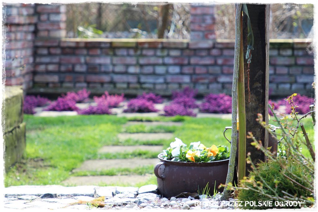 1 busem przez polskie ogrody ogrod 4 2019