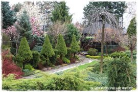 1000 busem przez polskie ogrody ogrod 6 2019