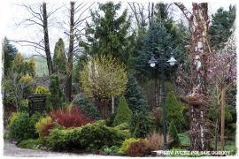 2000 busem przez polskie ogrody ogrod 6 2019