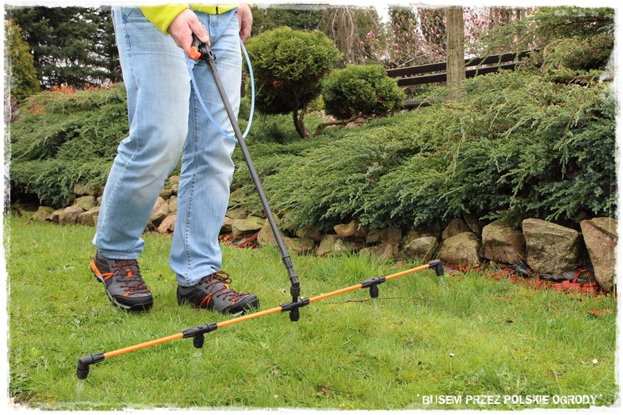 2030 busem przez polskie ogrody ogrod 6 2019