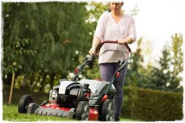 Instart BriggsStratton zogrodemnaty200