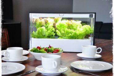 Szklarnia Green Farm zogrodemnaty1