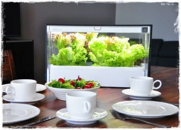 Szklarnia Green Farm zogrodemnaty1