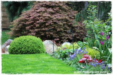 100 busem przez polskie ogrody ogrod 7 2019