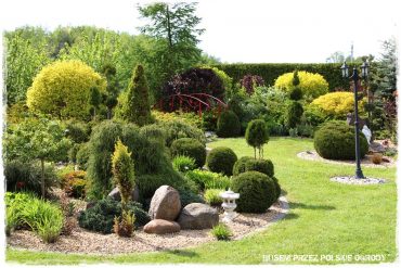 100 busem przez polskie ogrody ogrod 8 2019