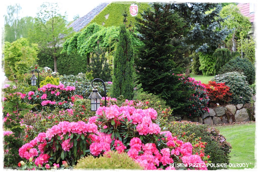 13586ba72725e20c5e5ba518844b7c39