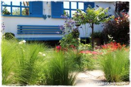 1 busem przez polskie ogrody ogrod 10 2019 Kolorowe okiennice w ogrodzie