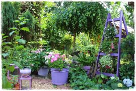 Kolorowe donice w ogrodzie zogrodemnaty1