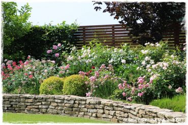 dc7e44cdece8f4619352063b8b5577b2