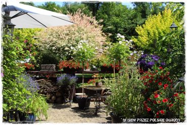 1000 busem przez polskie ogrody ogrod 13 2019