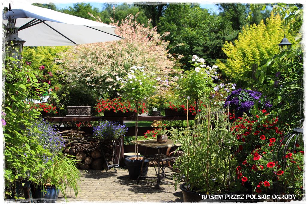 1000 busem przez polskie ogrody ogrod 13 2019