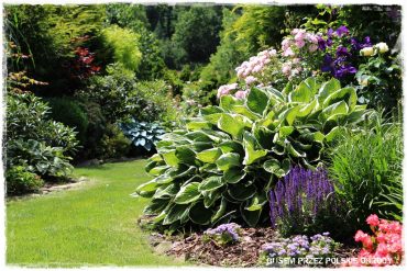 d18cdd1bd68dc333fe5e125cfb549189