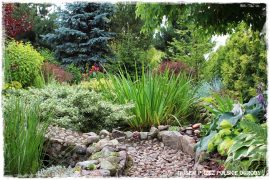 1000 busem przez polskie ogrody ogrod 15 2019