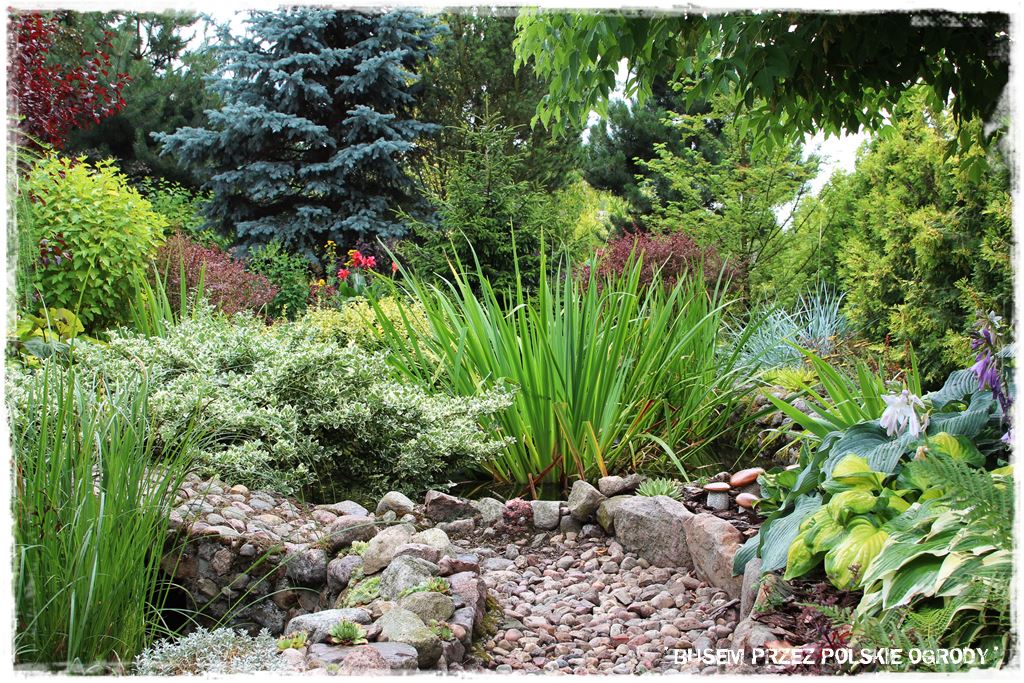 1000 busem przez polskie ogrody ogrod 15 2019