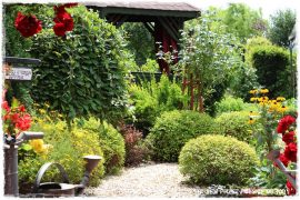 45fc4a9b442cdbb3e7680a8ddb665aa4