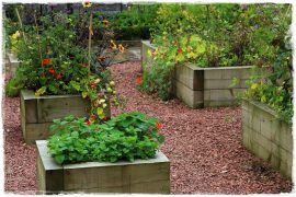 0219cc280e07e5fa3809625b9ad56652