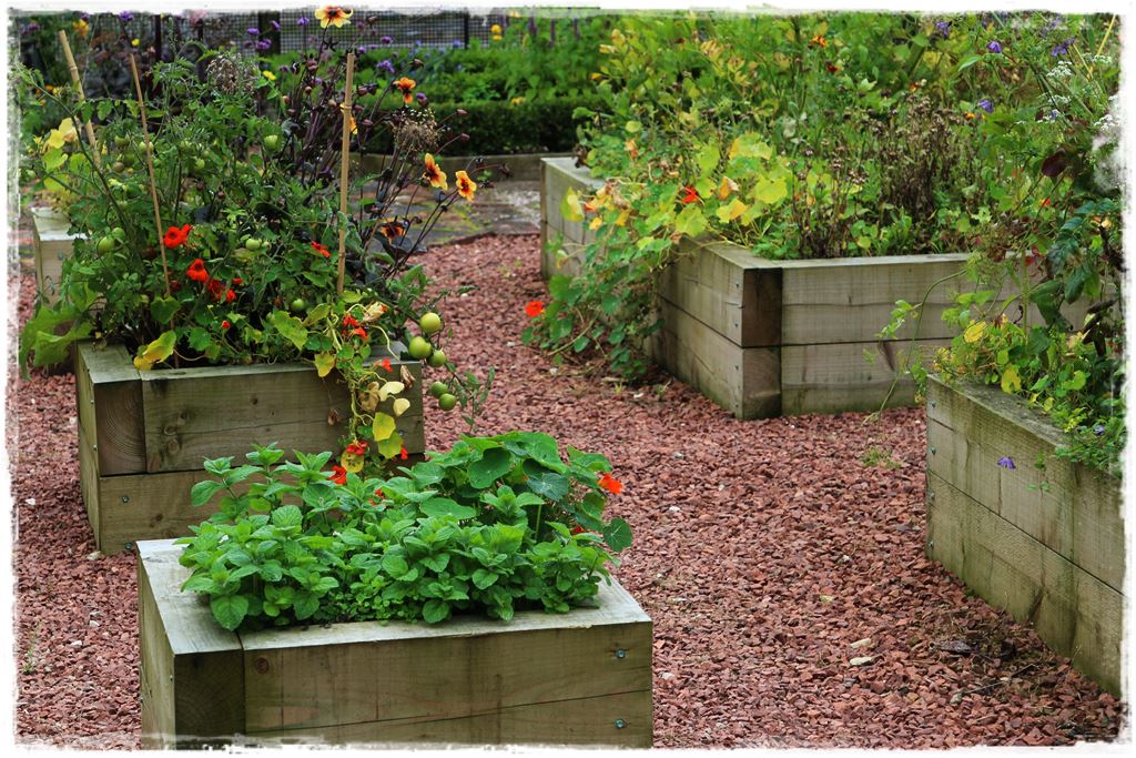 0219cc280e07e5fa3809625b9ad56652