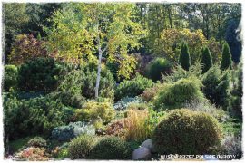 1000 busem przez polskie ogrody ogrod 18 2019