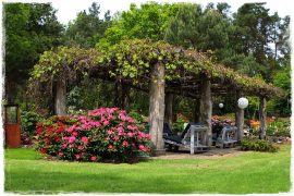 Pergola ogrodowa zogrodemnaty1