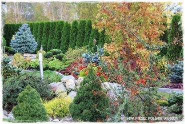 1 busem przez polskie ogrody ogrod 21 2019
