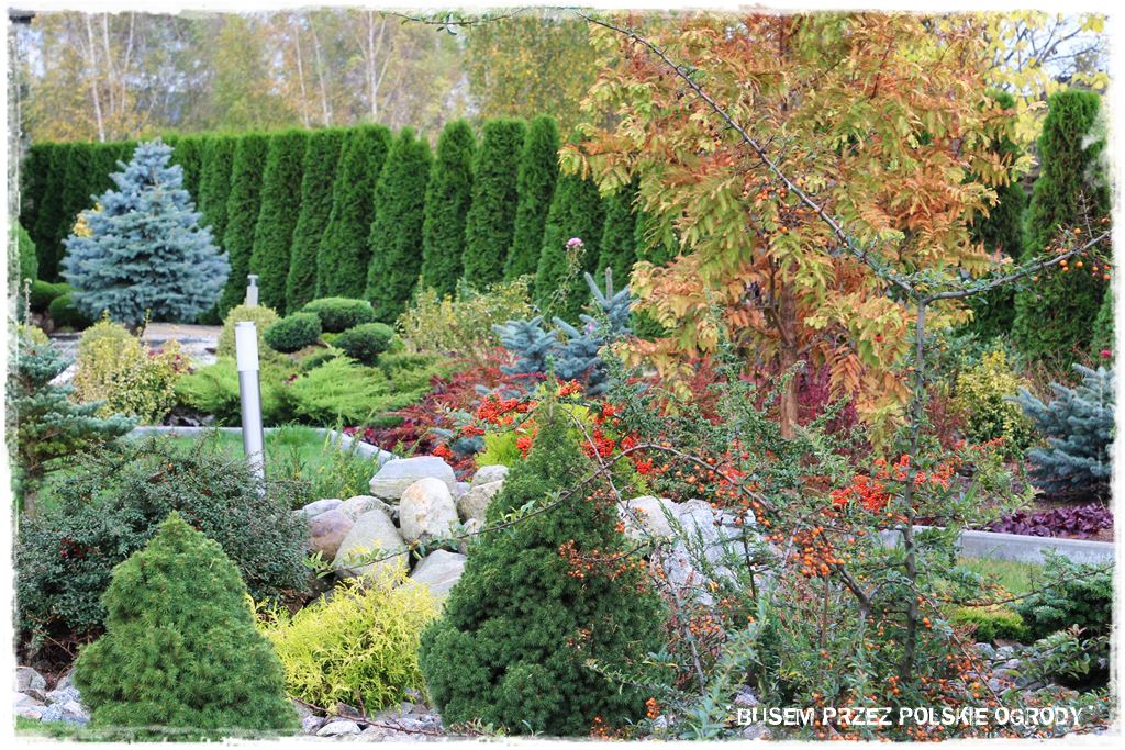 1 busem przez polskie ogrody ogrod 21 2019