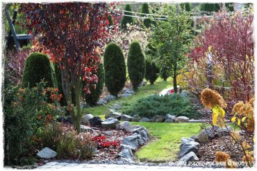 f8930b555a1e5fce84e0939ad6651829