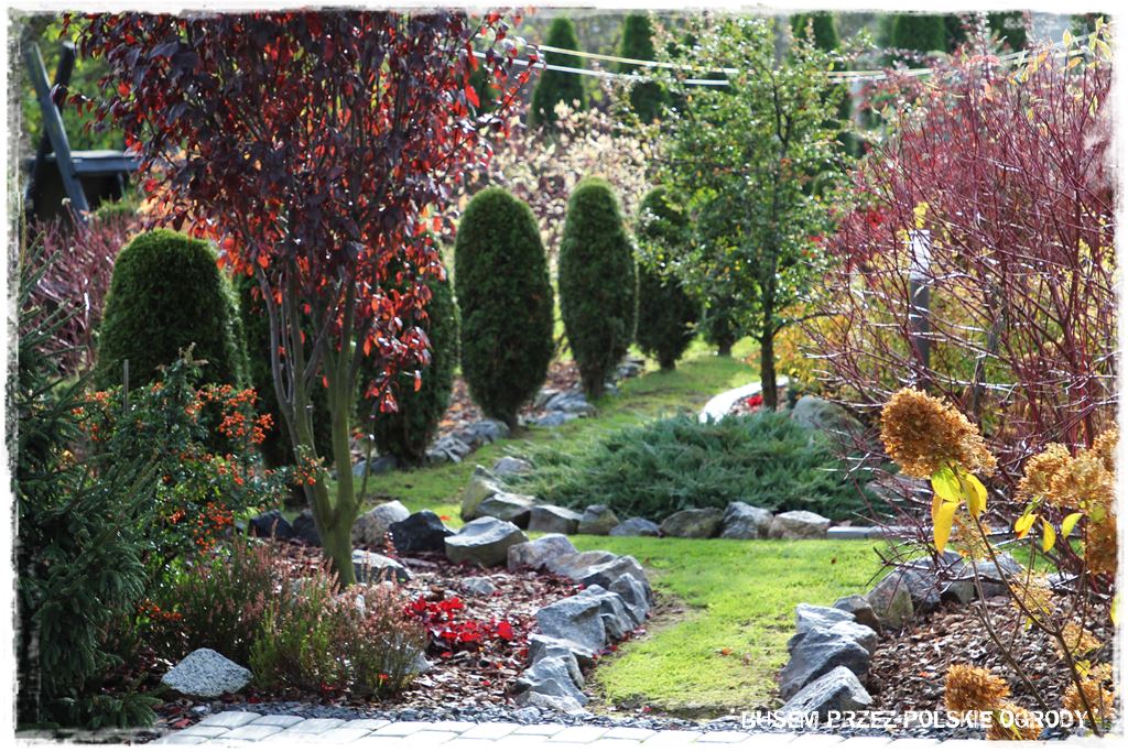 f8930b555a1e5fce84e0939ad6651829