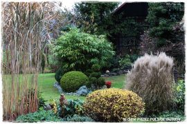 d5d9a4b043e3dc10fd4d8c9e11372d5c