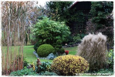 d5d9a4b043e3dc10fd4d8c9e11372d5c