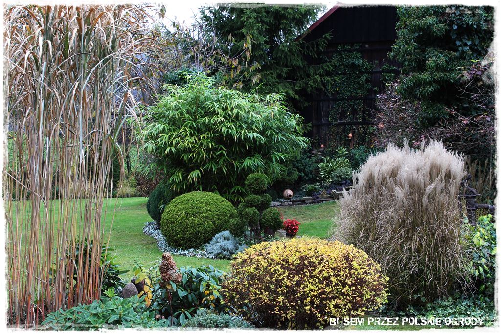 d5d9a4b043e3dc10fd4d8c9e11372d5c