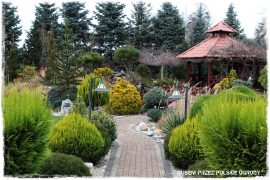 e0fa40f95a518f124bae149deb8d6398